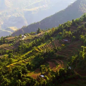 fantasy world holidays dhanulti