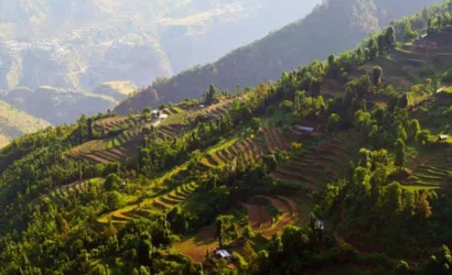 fantasy world holidays dhanulti