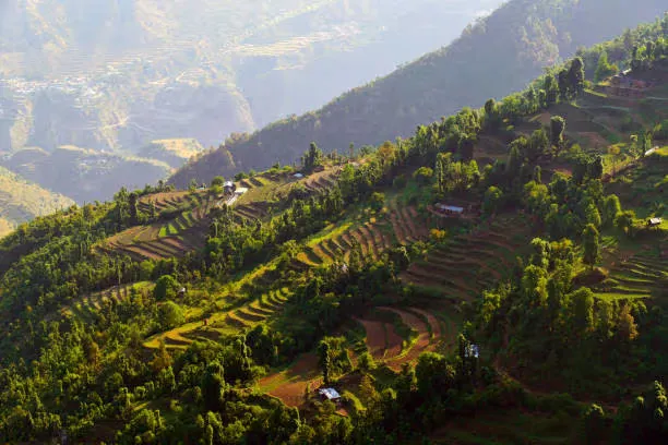 fantasy world holidays dhanulti