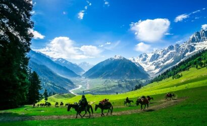 pleasurable kashmir tour package