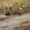 uttarakhand wildlife tour package 2026