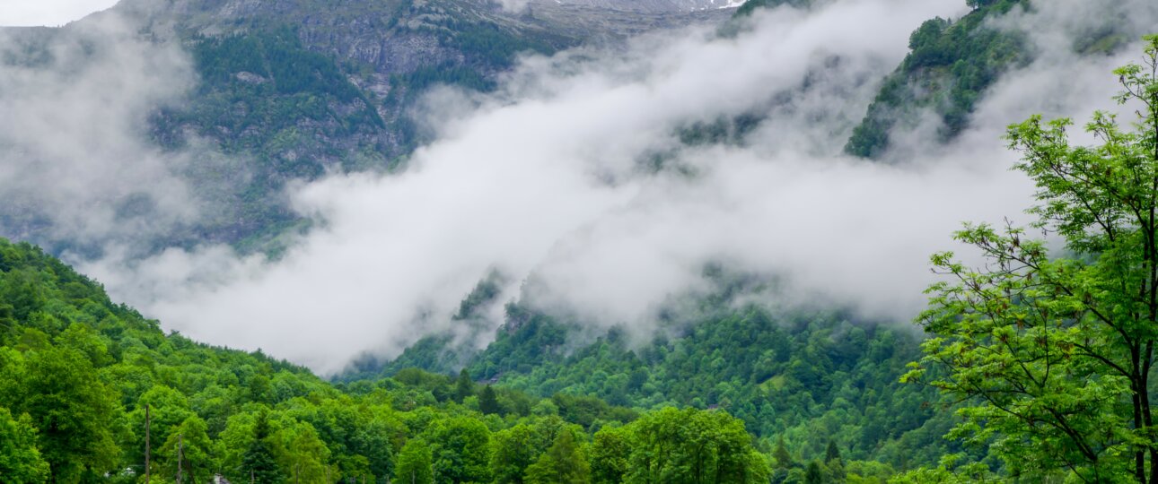 tirthan valley tour package