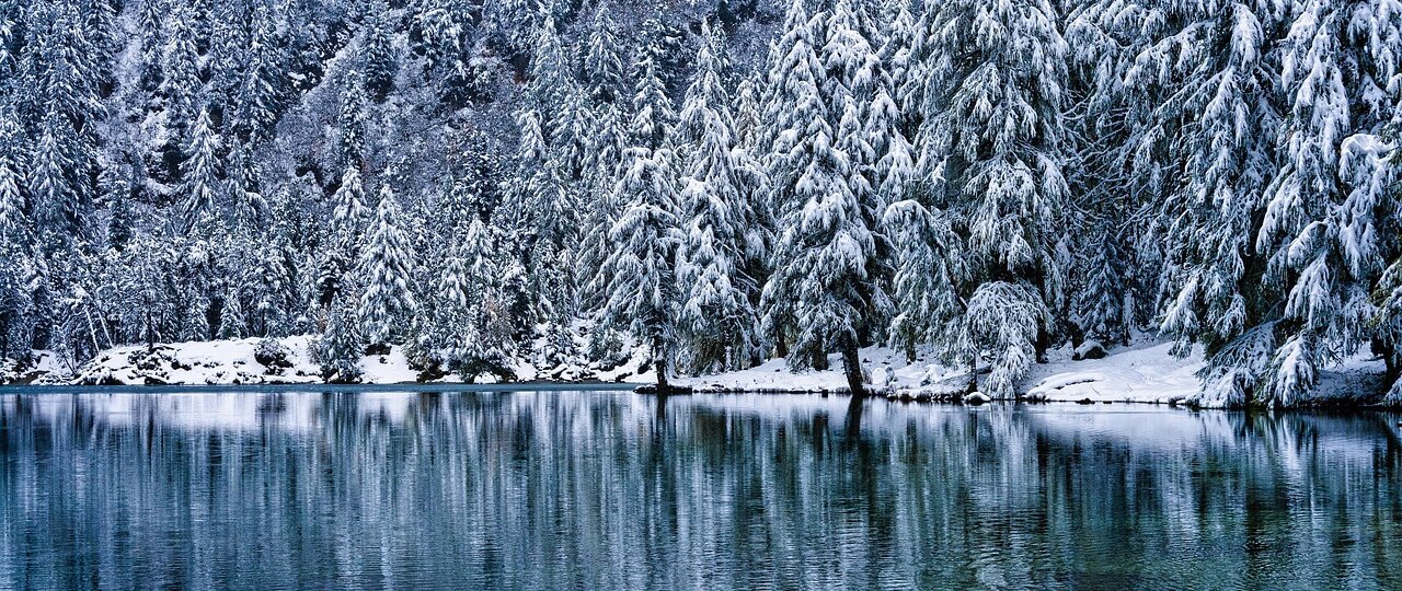 Jibhi – Mini Switzerland Near Delhi