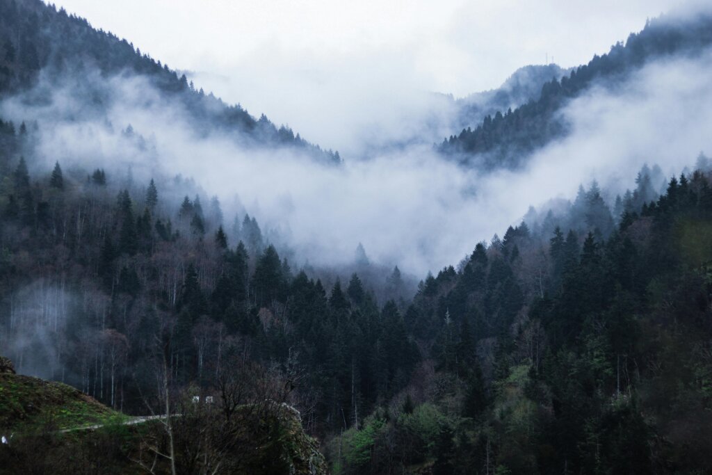 Ziro Valley – Northeast India’s Hidden Paradise