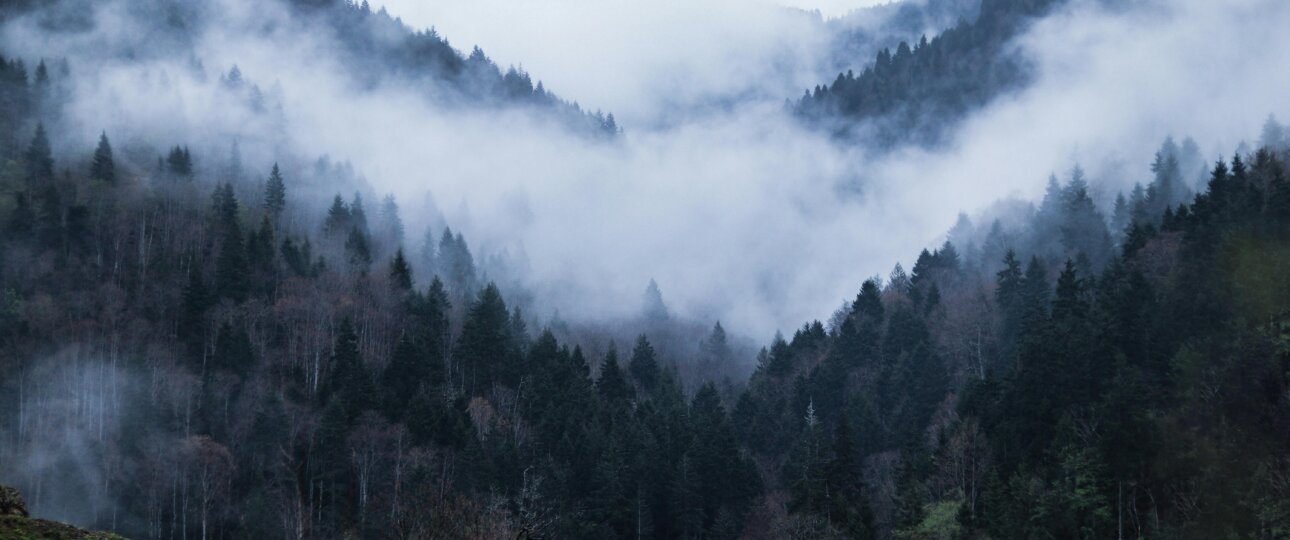 Ziro Valley – Northeast India’s Hidden Paradise