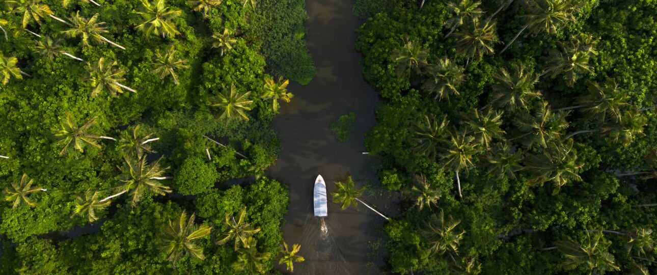 Discover the lush greenery and tranquil waters of the Alappuzha backwaters in Kerala, India.
