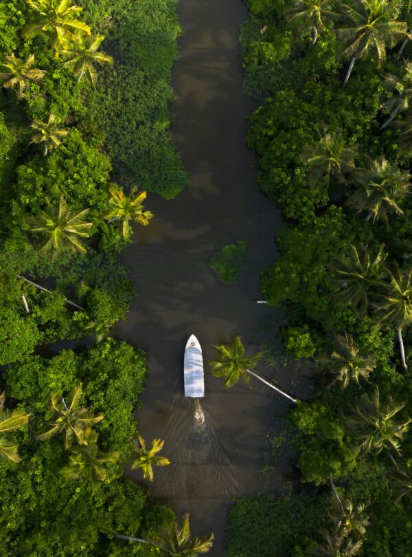Discover the lush greenery and tranquil waters of the Alappuzha backwaters in Kerala, India.