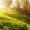 Munnar Tour Package