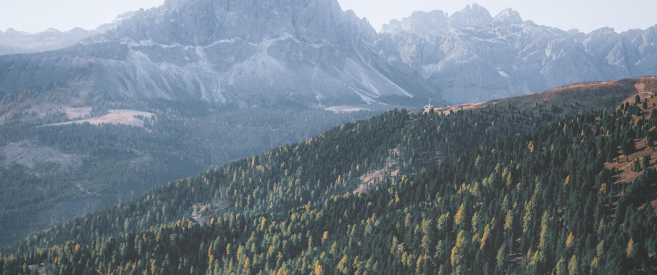 Shoja – Secret Mountain Retreat Near Jalori Pass