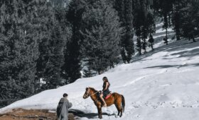 Shimla Manali Tour Packages