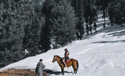 Srinagar honeymoon package