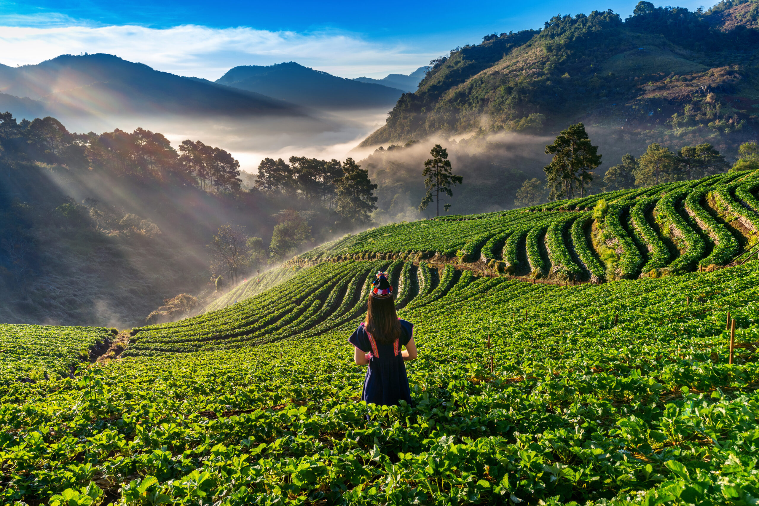 Ooty tour packages