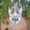 Kanyakumari - Kovalam Family Tour Package