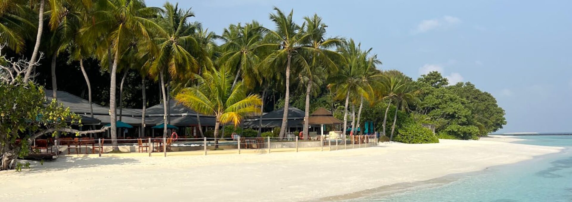 Pristine Maldives beach with turquoise waters and palm trees under a clear sky.