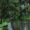 Kochi Munnar travel package from Delhi