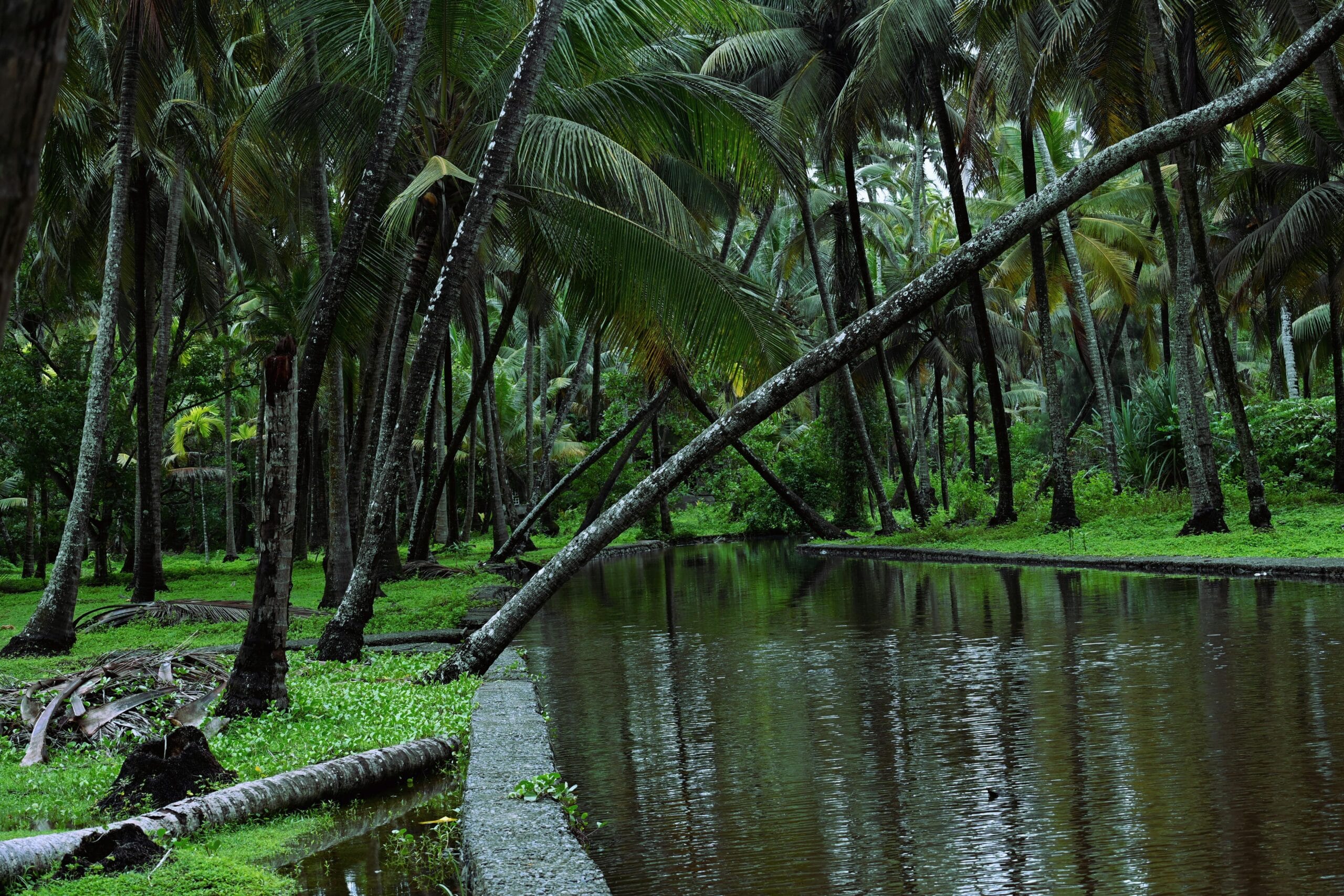 Kochi Munnar travel package from Delhi