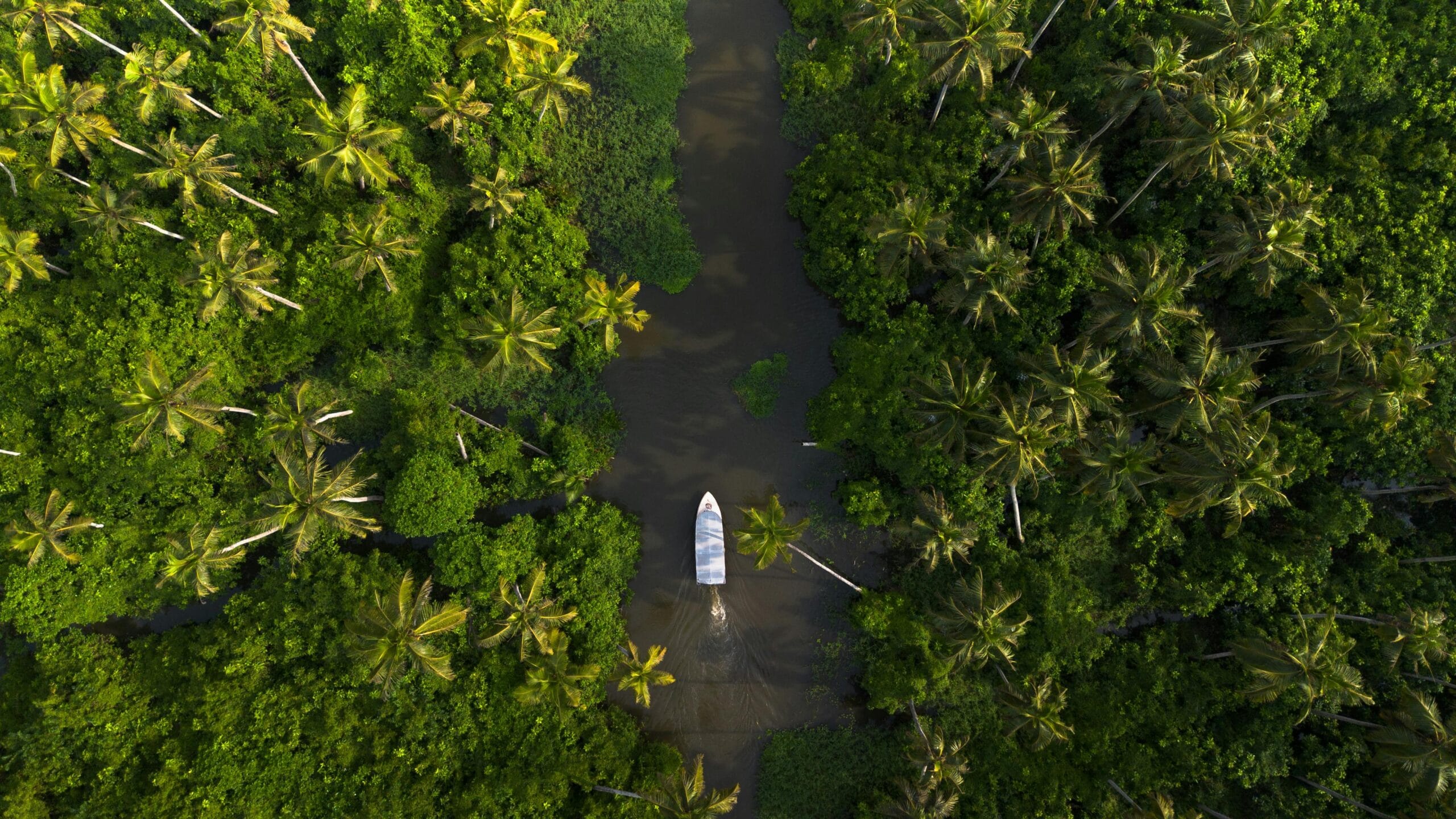 Mesmerizing Kerala Holiday Package