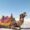 Stimulating Rajasthan Tour Package