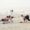 Goa Friends Tour Package