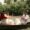 Amazing Kerala Honeymoon Trip