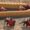 Jubiliant Jaipur Tour Package