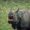 Kaziranga North East Package