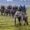 Uttarakhand Wildlife Tour Package