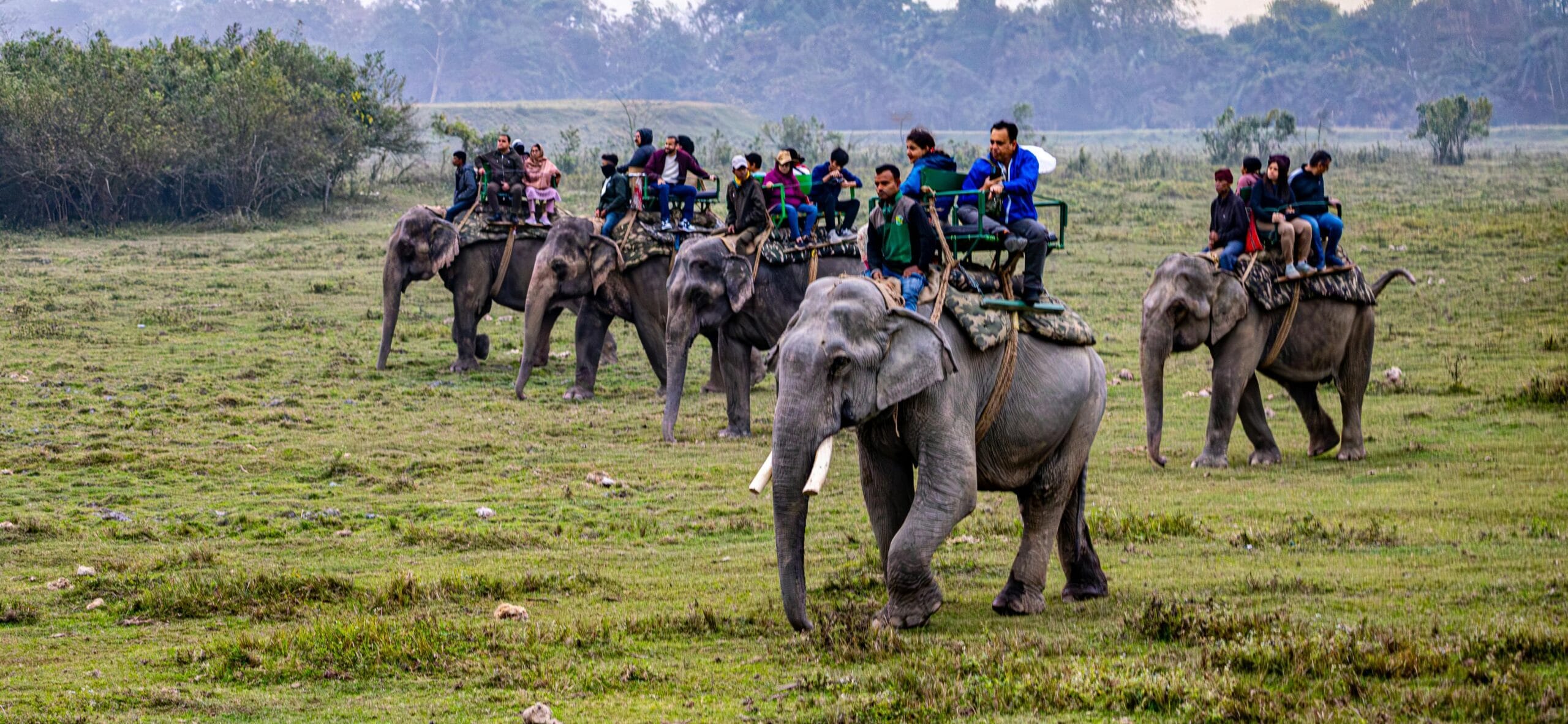Uttarakhand Wildlife Tour Package