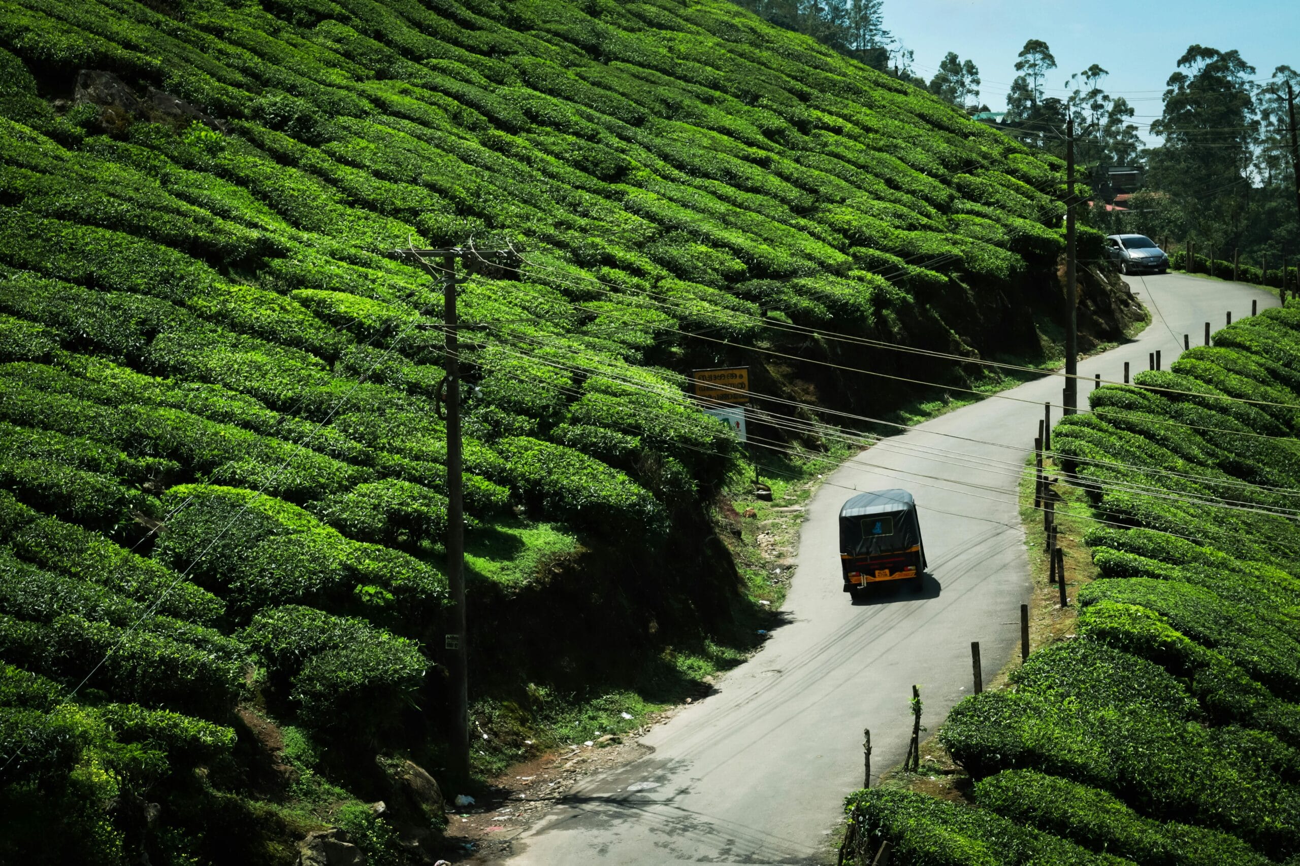 Pleasant Tour In Munnar A
