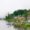 Sikkim Darjeeling - Gangtok Trip Package