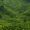 Blissful Tour In Munnar