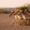 Divine Kutch Tour Package 7N 8D .