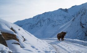 Manali Leh Summer